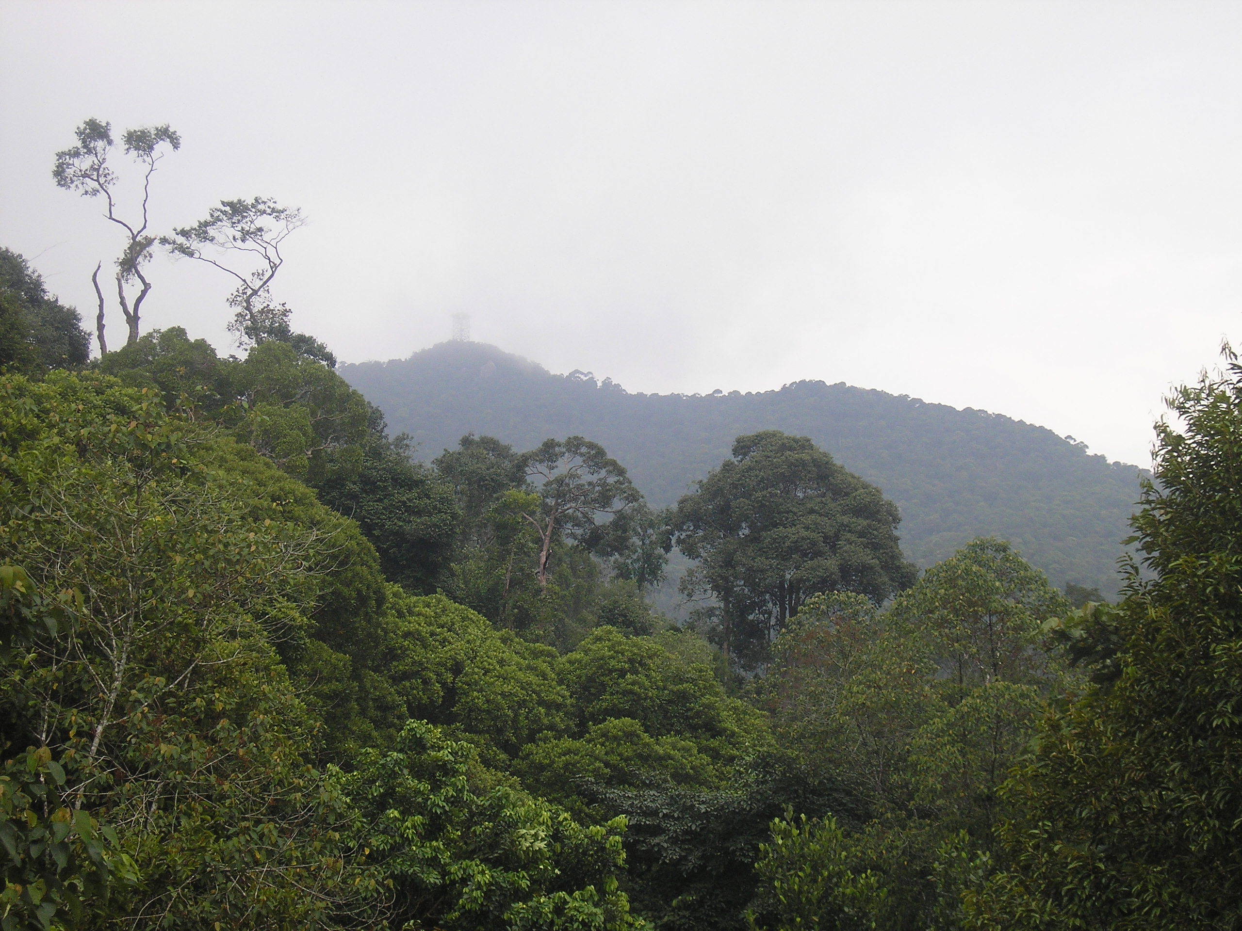 Gunung Jantan | Gunung Bagging
